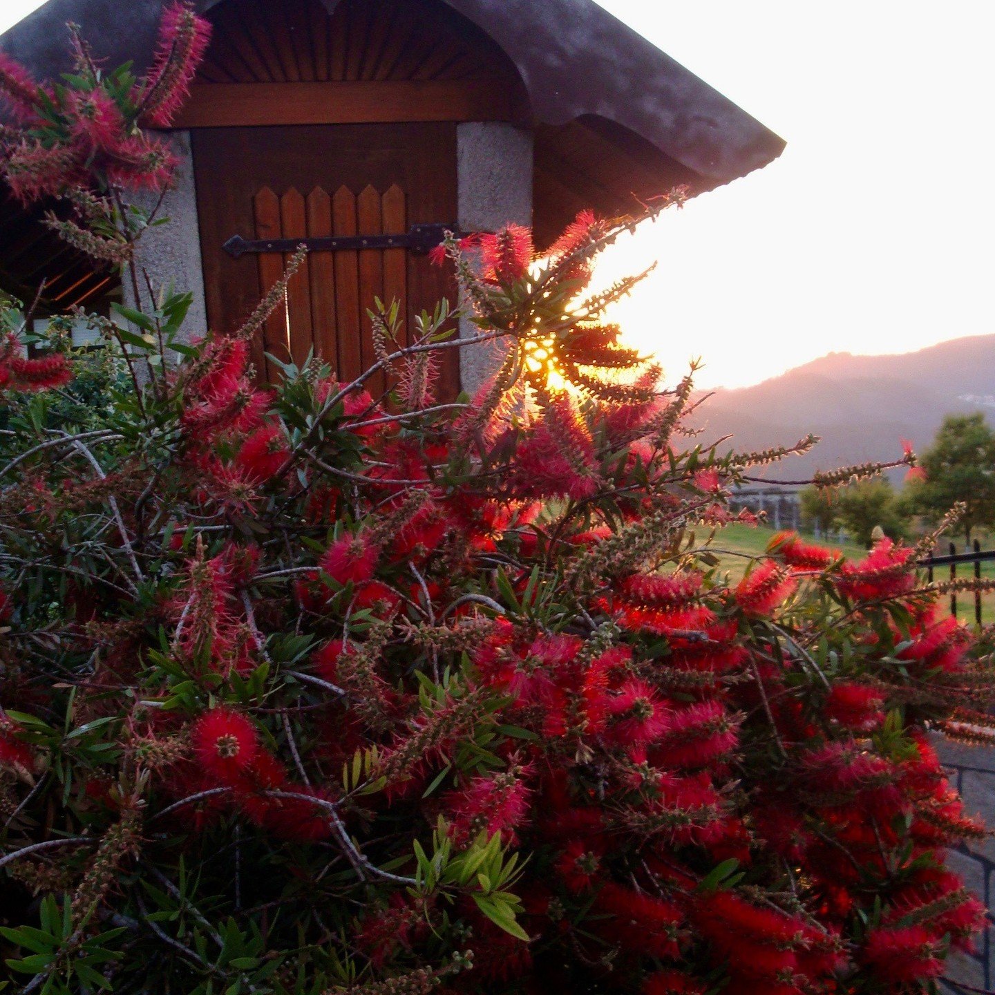 ❤️ A sunset in Vale de Cambra.