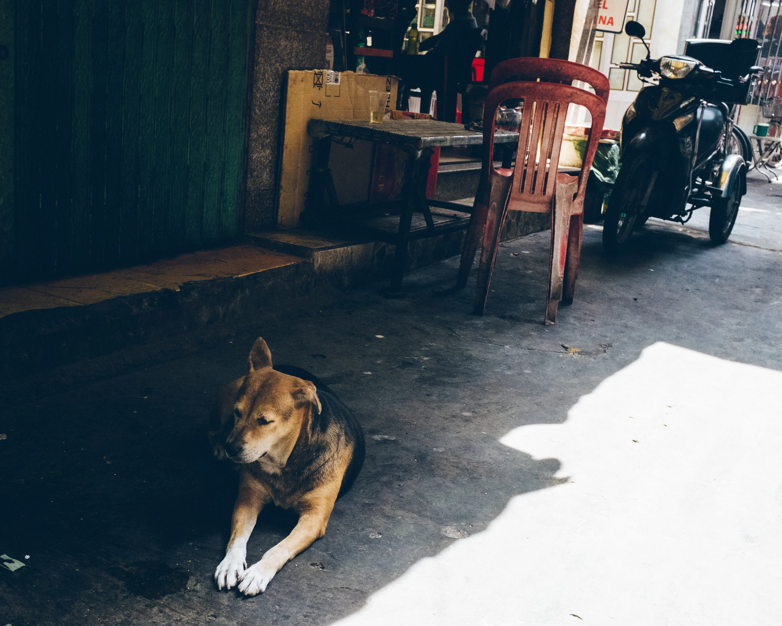 HCM (15 of 38).jpg