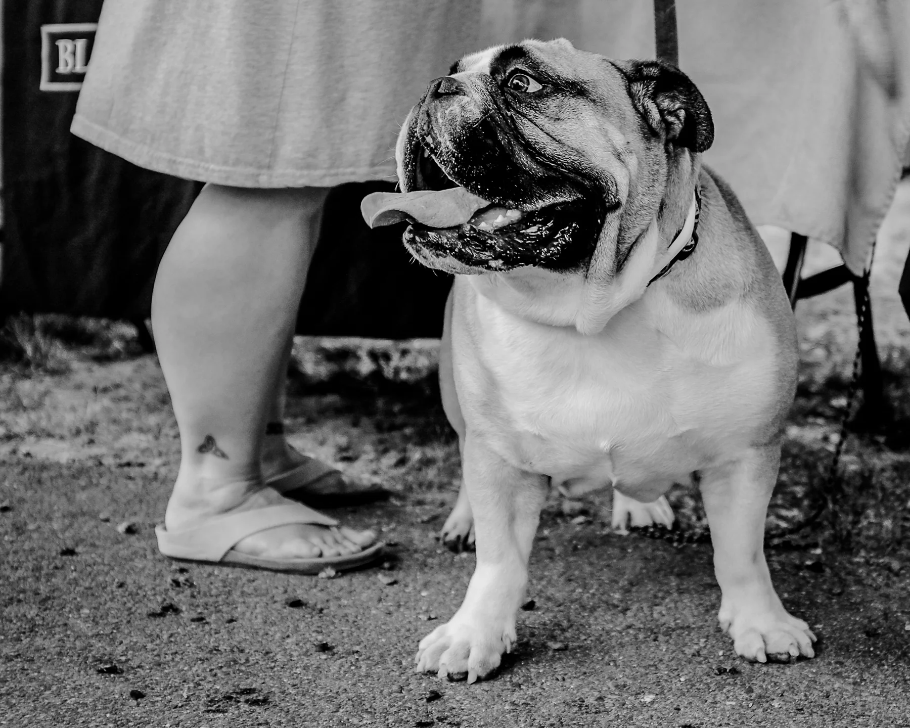 Street_Photography (22 of 34).jpg