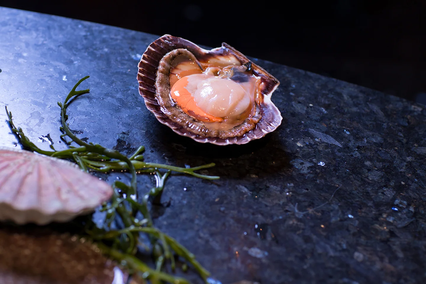 FOODBAR Jan 2016 @JensBredberg-28.jpg