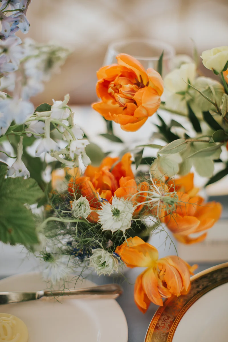 Amy Donohue Photography-8603.jpg