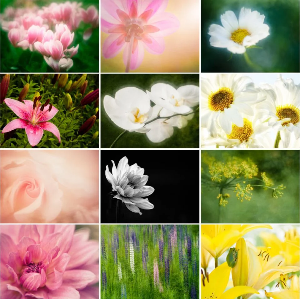 example of the 12 flower photographs in calendar
