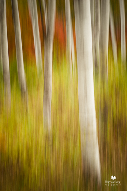 Impression of Fall