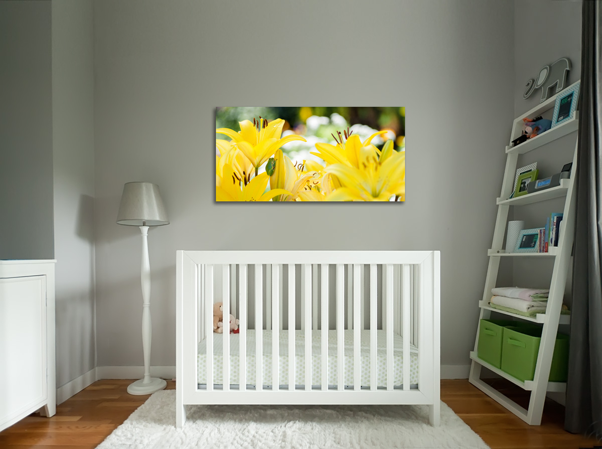 FrogInGarden_nursery_example_1200.jpg