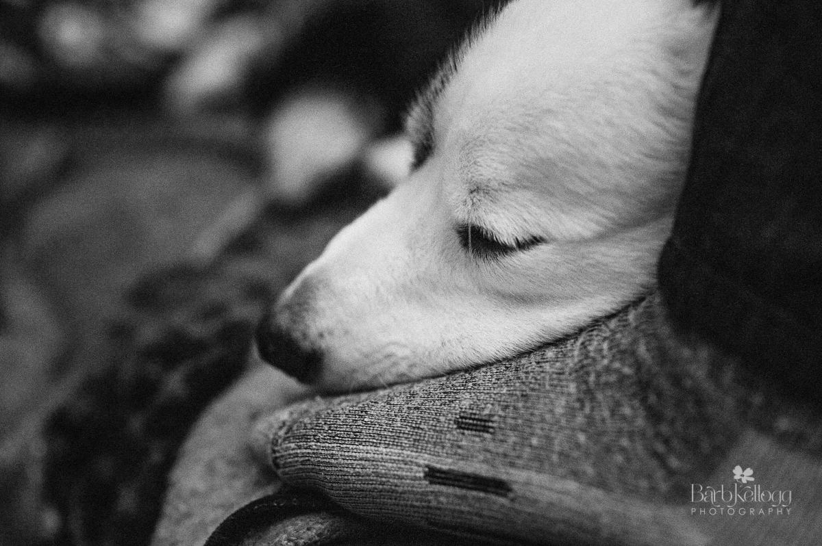 mulder-sleeping-foot-barbKellogg.jpg