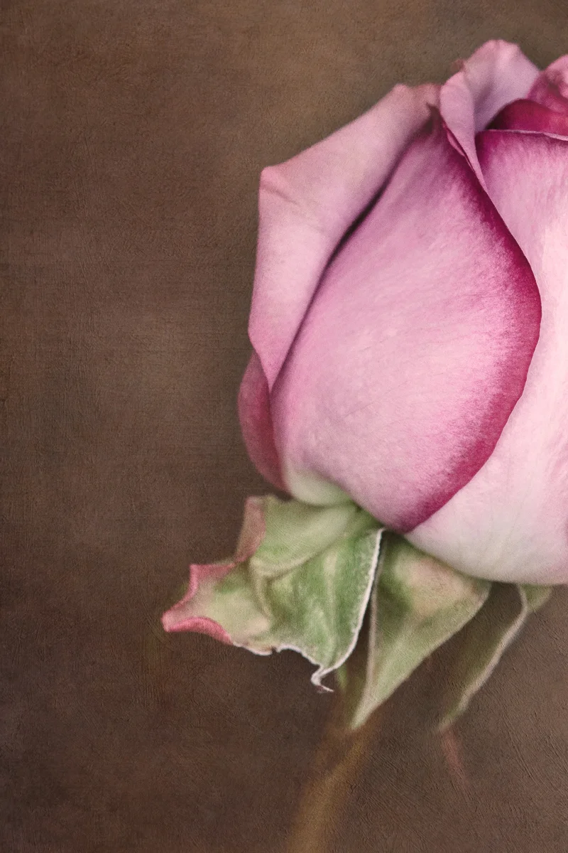 Touch of Pink