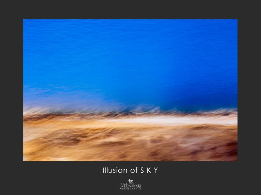sky-barb-kellogg.jpg