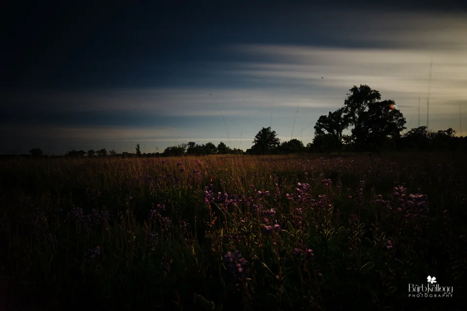 My first long exposure photograph (411 seconds, f/22, ISO 100, with a 10 or 15 stop ND filter). Definitely not pretty. (Ok, maybe not the first, but the first one that wasn't all black.)