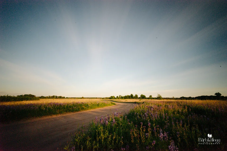 After several attempts during this outing, this was the last. Oh so many issues that I won't bore you with, but a great learning experience. (412 seconds, f/16, ISO 500, probably with a 15 stop ND filter)