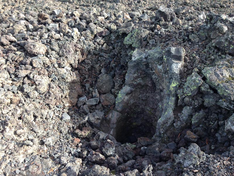 There was a tree there 7000 years ago! The hot lava flow was slow enough to not plow over everything in it's path, but instead flowed around the tree, cooled and burned what was left of the tree. This cast shows the imprint of the bark. (photo credit - Kyle Samuels)