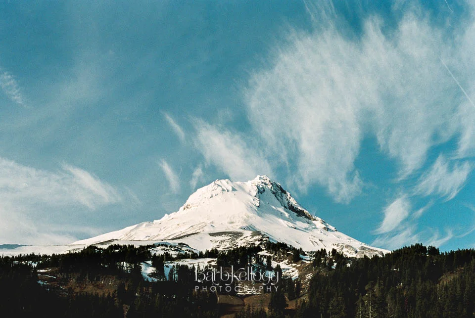 mt-hood-oregon-barb-kellogg.jpg