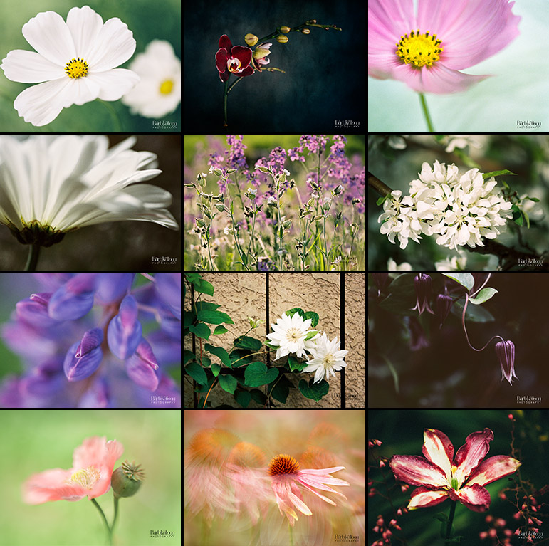 2018_FLOWERS_Trvl_cube.jpg