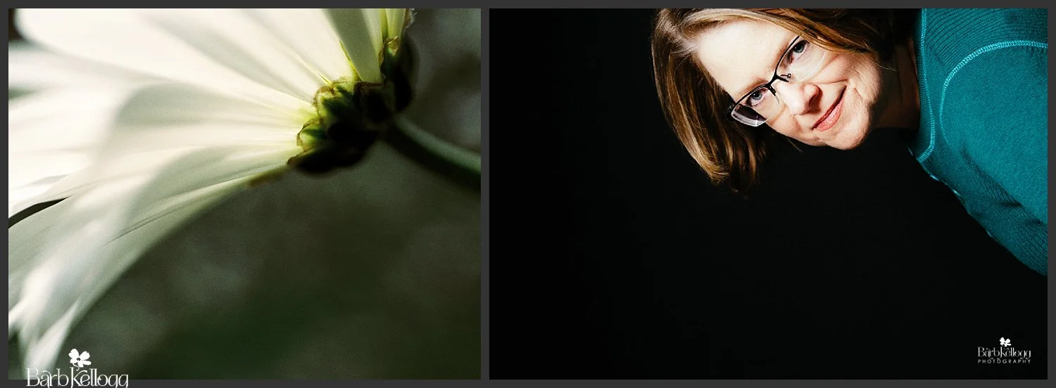 160815_0380_20_portra_daisy_8x10crop_fnl_collage.jpg