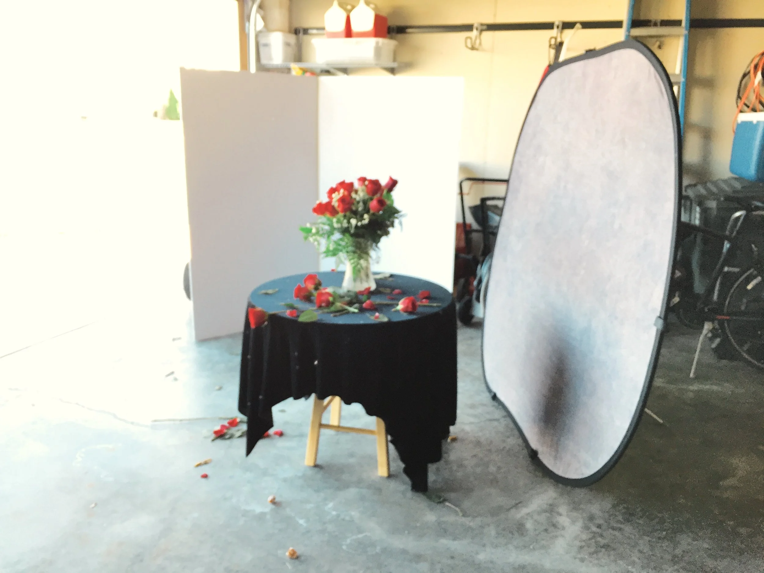 A photograph of the set up.