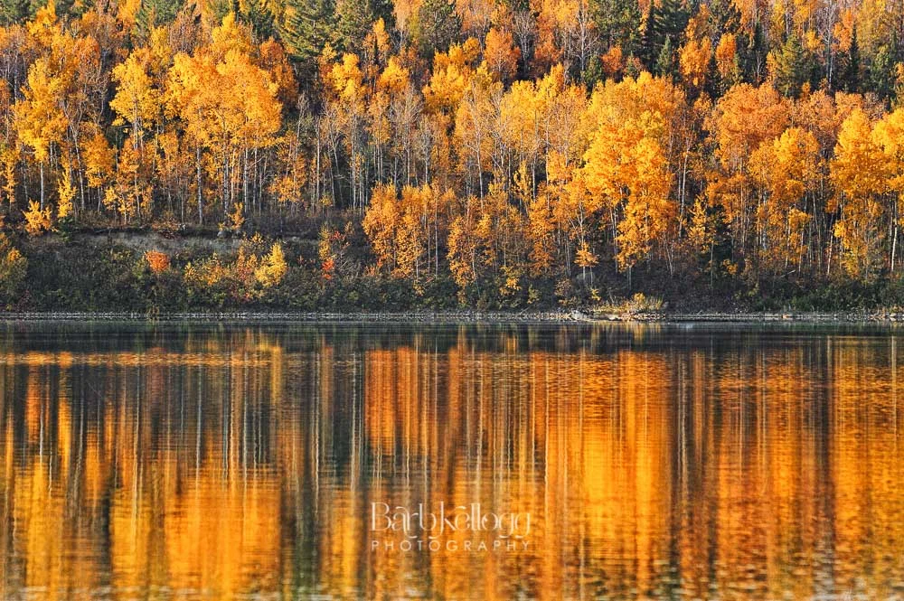 colorful reflections...