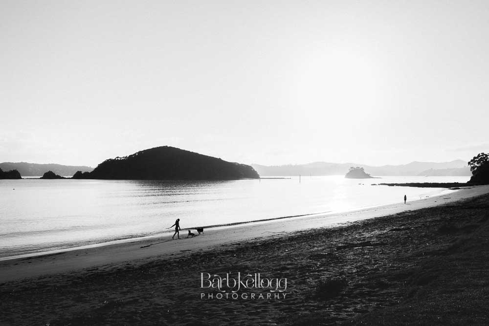 170319_DSC3814_sunrise_walk_on_the_beach_1000px.jpg