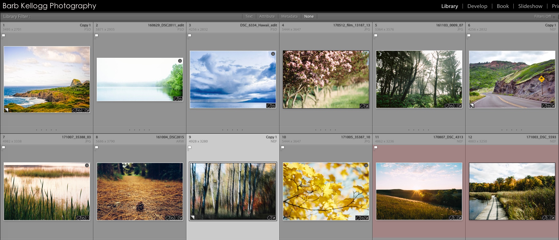 Selections for the Trees & Travel edition of the 2019 Nature’s Beauty Calendar. See below for the Flowers edition.