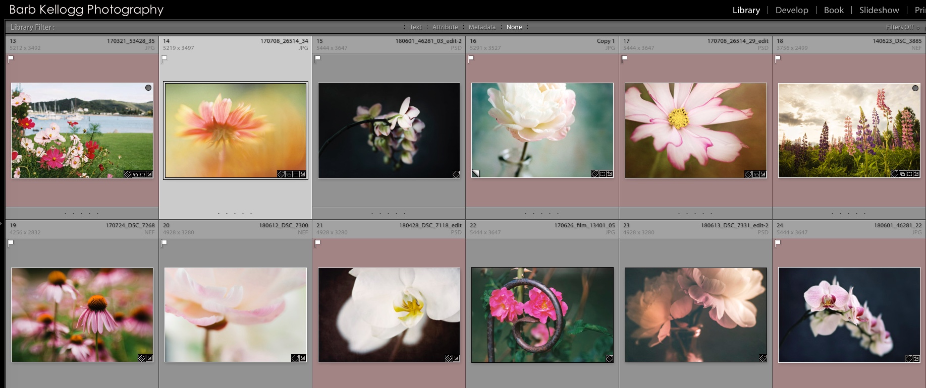 Selections for the 2019 Flowers edition of the 2019 Nature’s Beauty Calendar