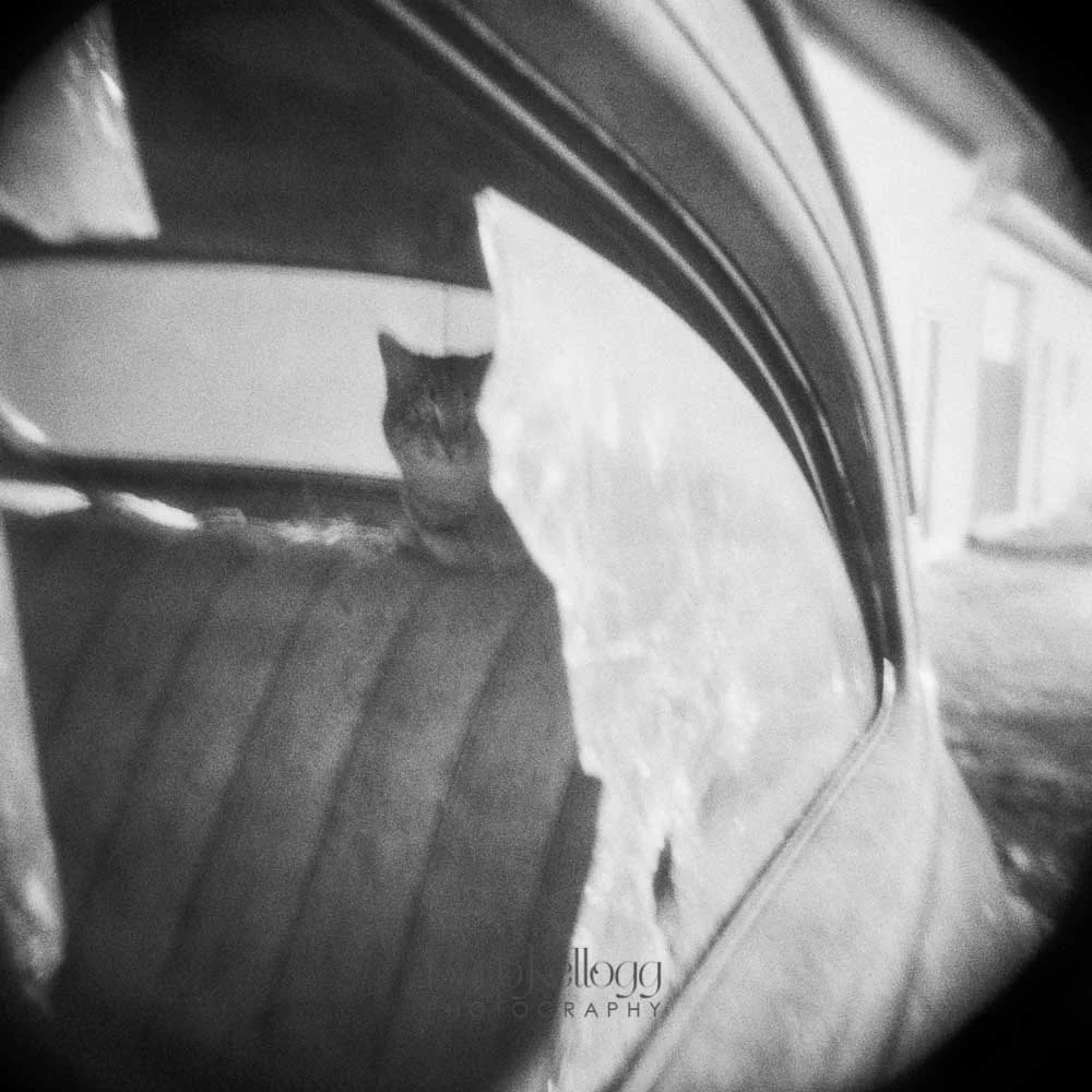 181215_42679_11_holga_1000px.jpg