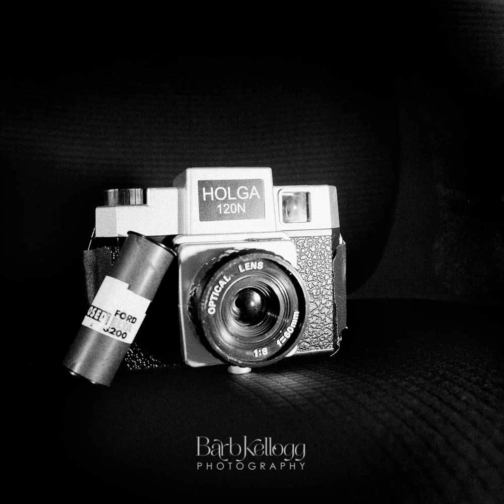 181216_DSC_8890_holga_1000px.jpg