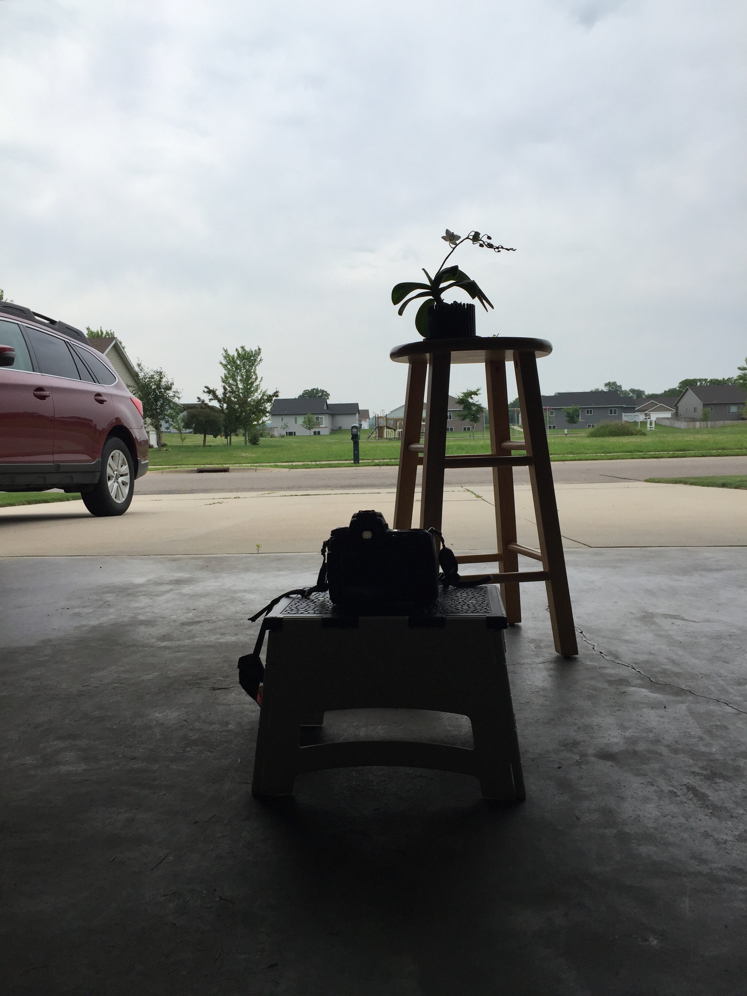 Set up for the back lit orchid. (The one with the white background.)