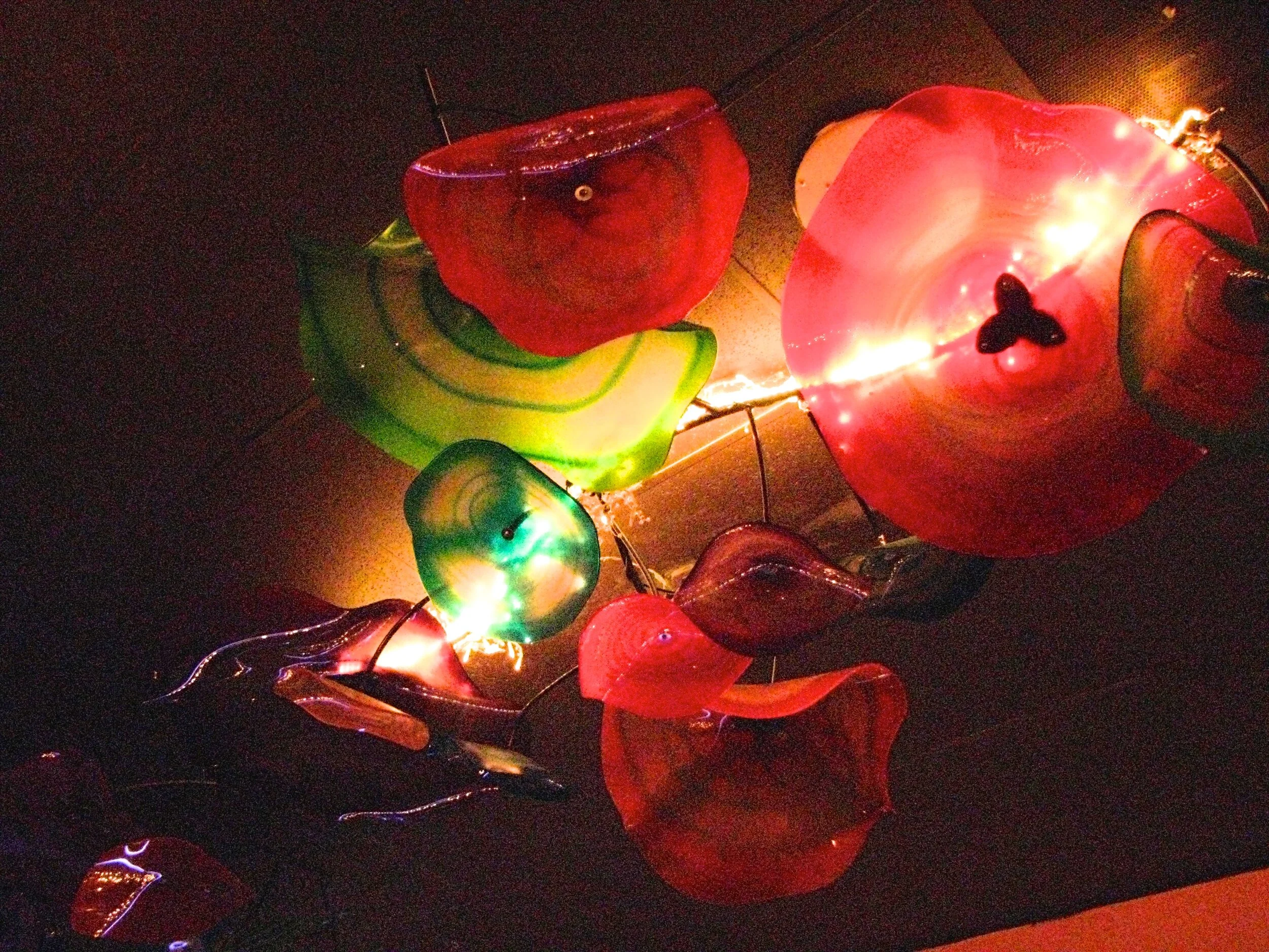 Light and color ceiling display 