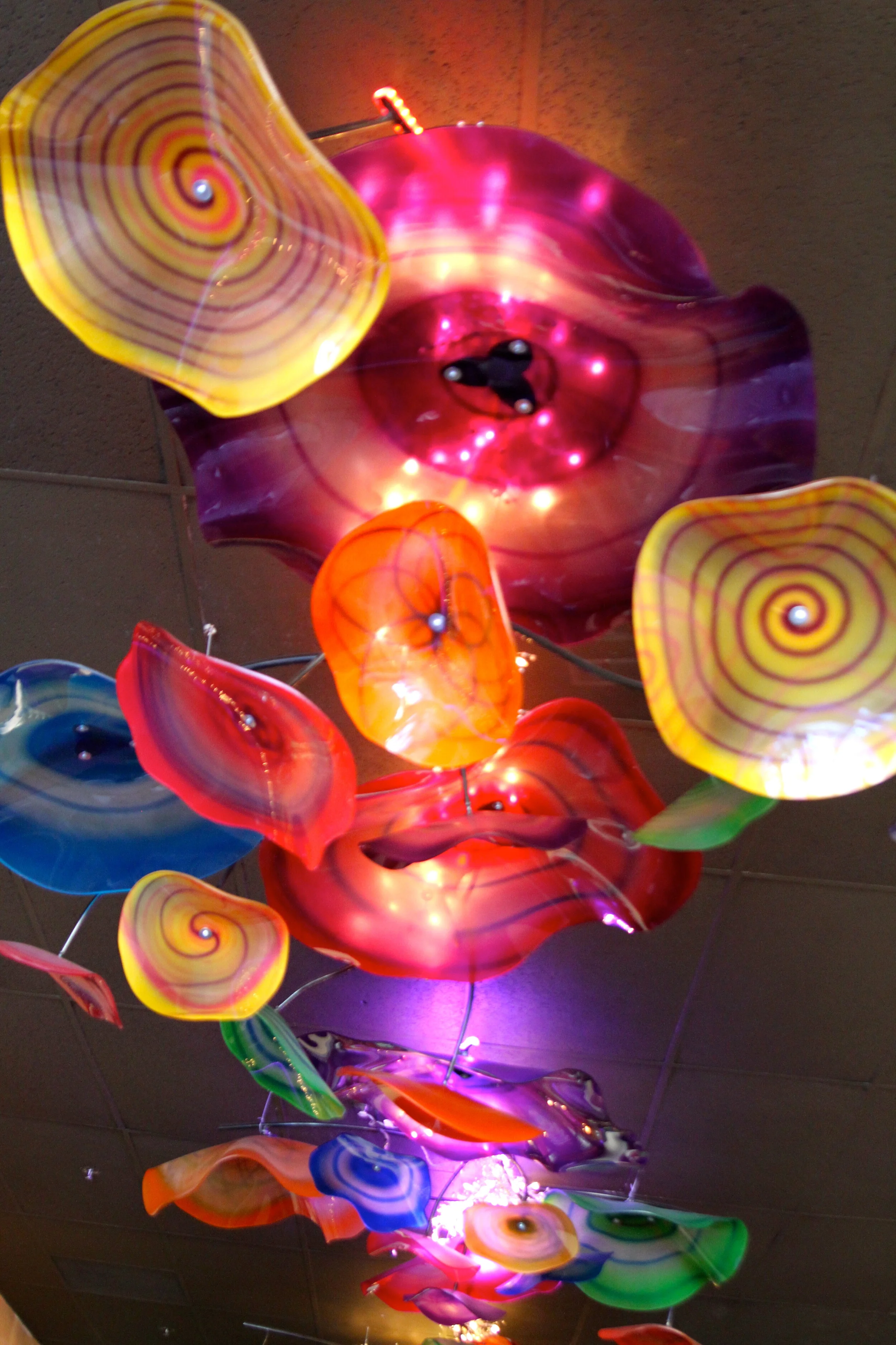 Light and color ceiling display 