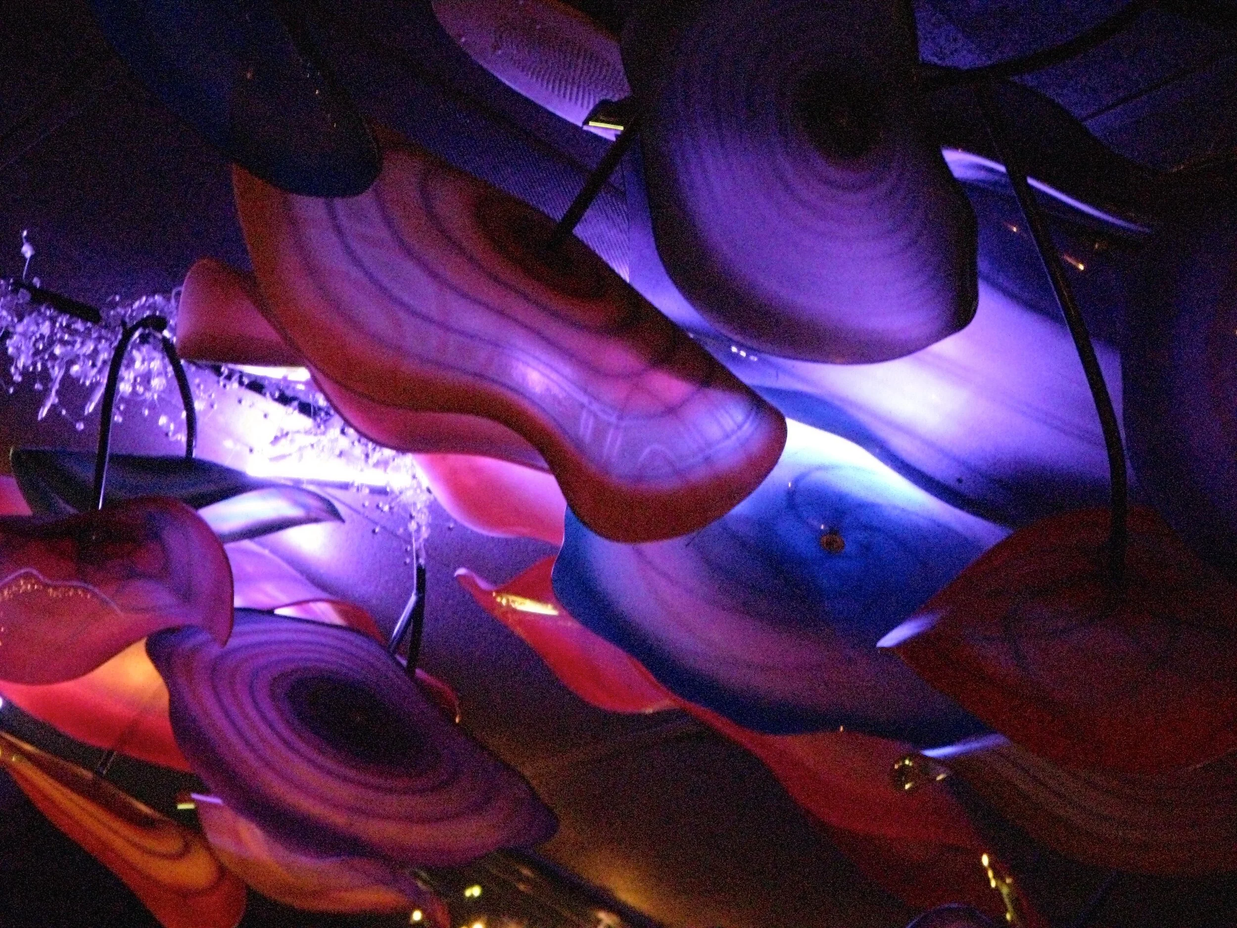 Light and color ceiling display 