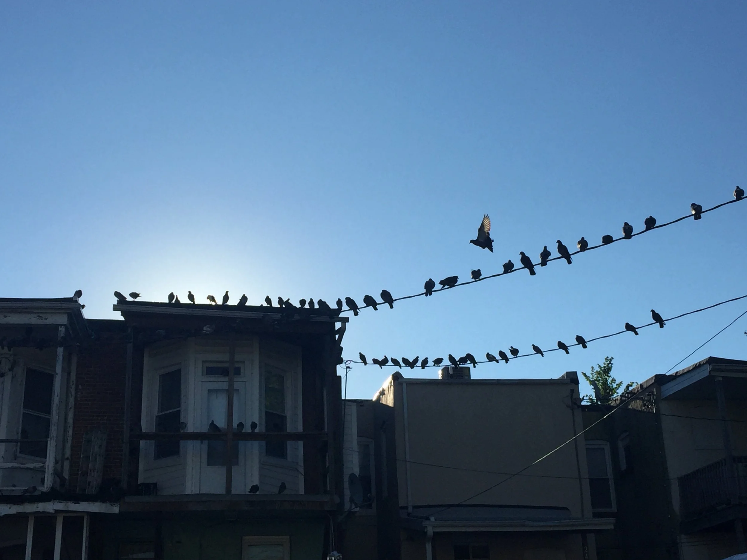 Photo: Early Bird | Mateo Blu