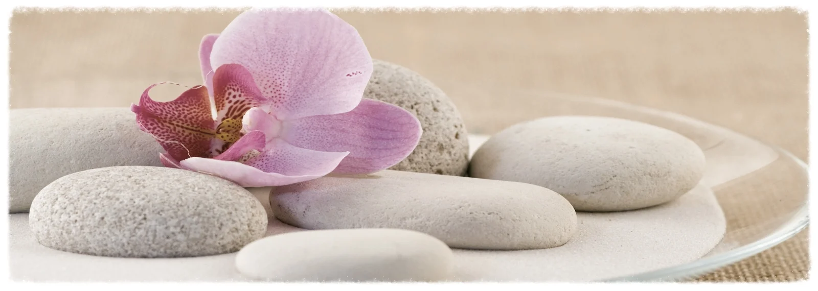 Wellness1.jpg