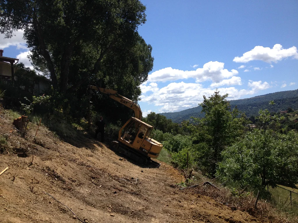 9fc3a64b656f95d527015613be33df99_frd4 (1).jpg