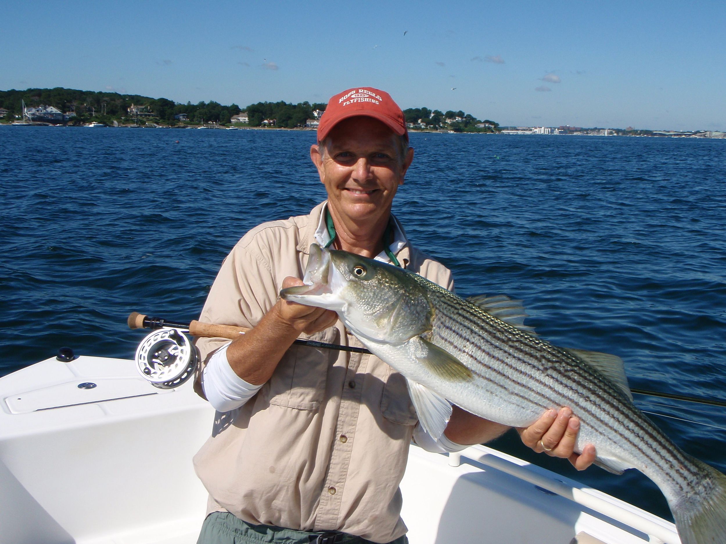 Image of a nice fly rod striped bass caught off Marblehead