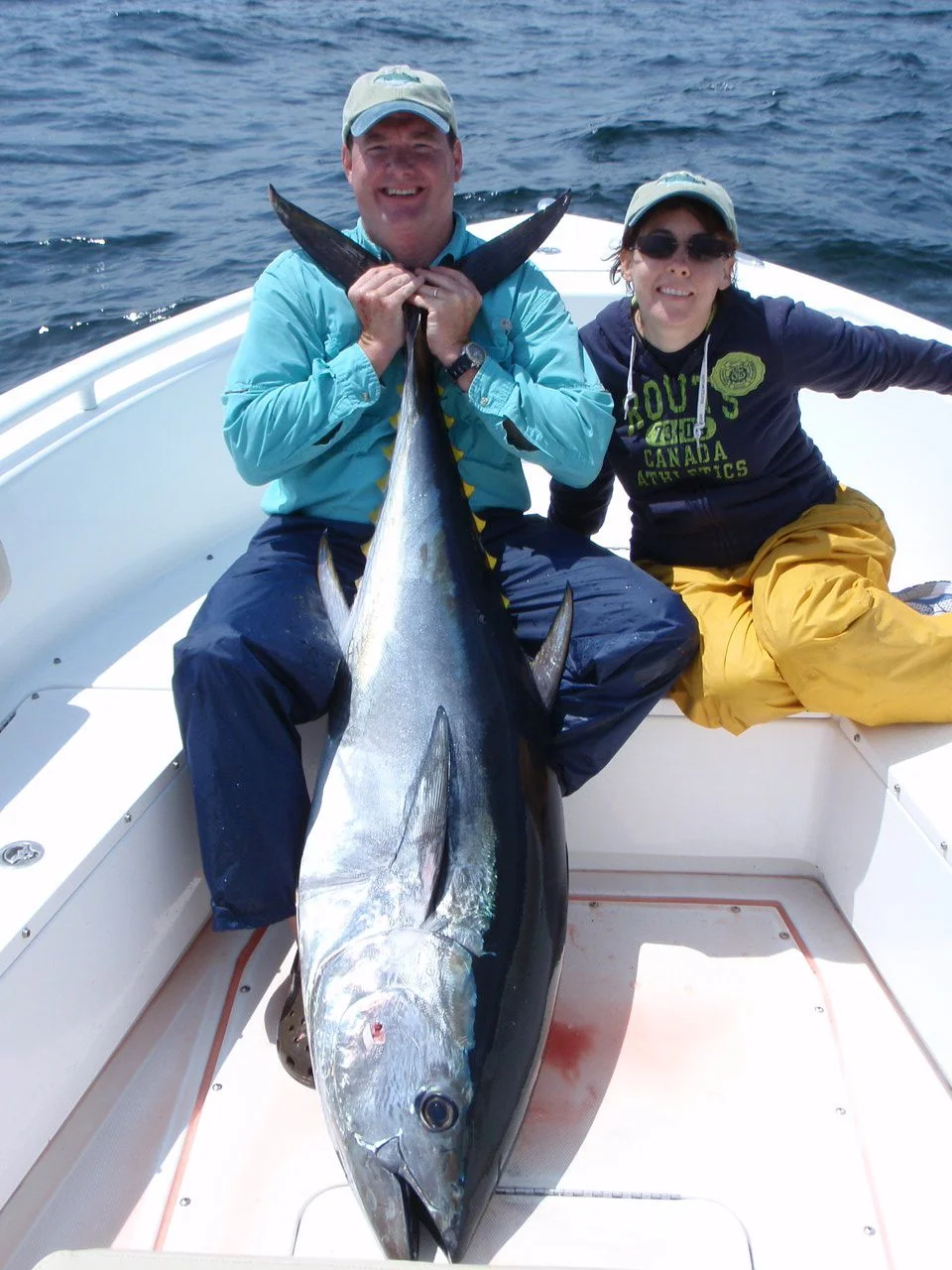 Image of a large bluefin tuna caught on spinning gear off Stellwagen bank