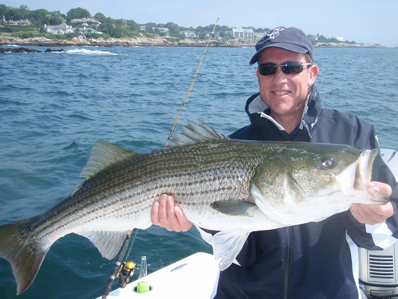 Image of a large striped bass caught off Marblehead