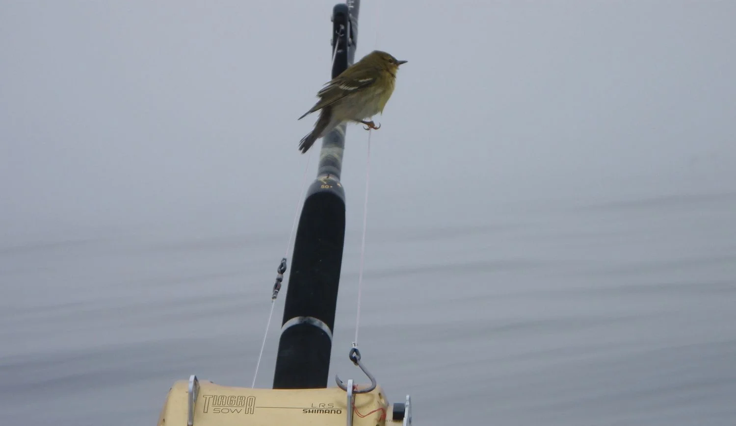 Fishing '11 091.jpg