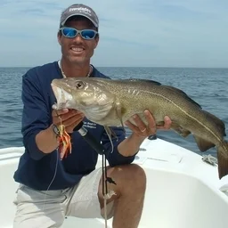 Cod