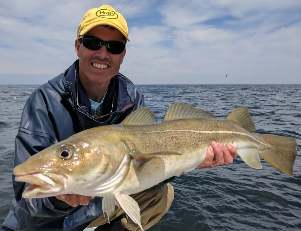 Image of Captain Randy Sigler with a large Cod caught on Stellwagen Bank