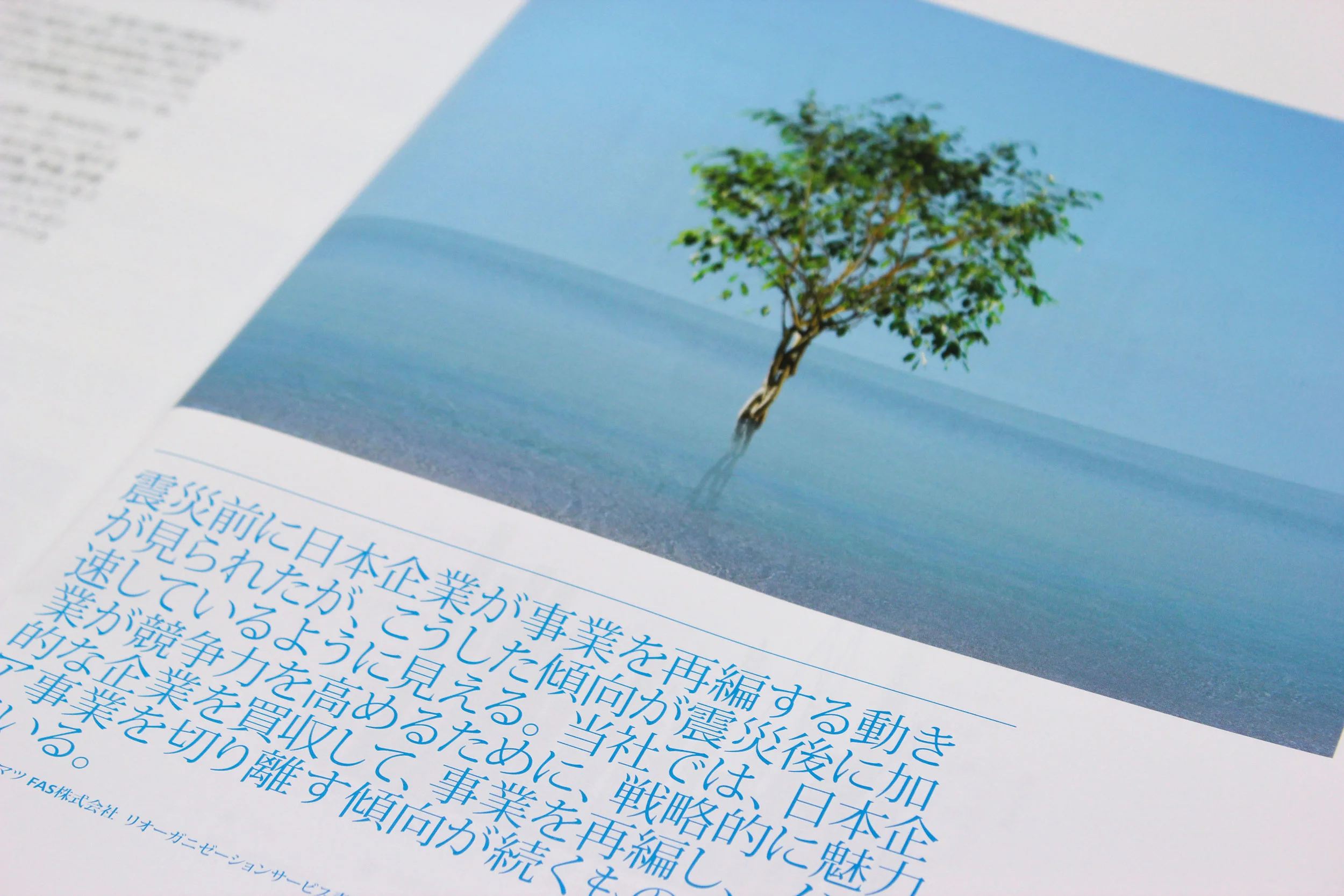 DeloitteJapanDetail.jpg
