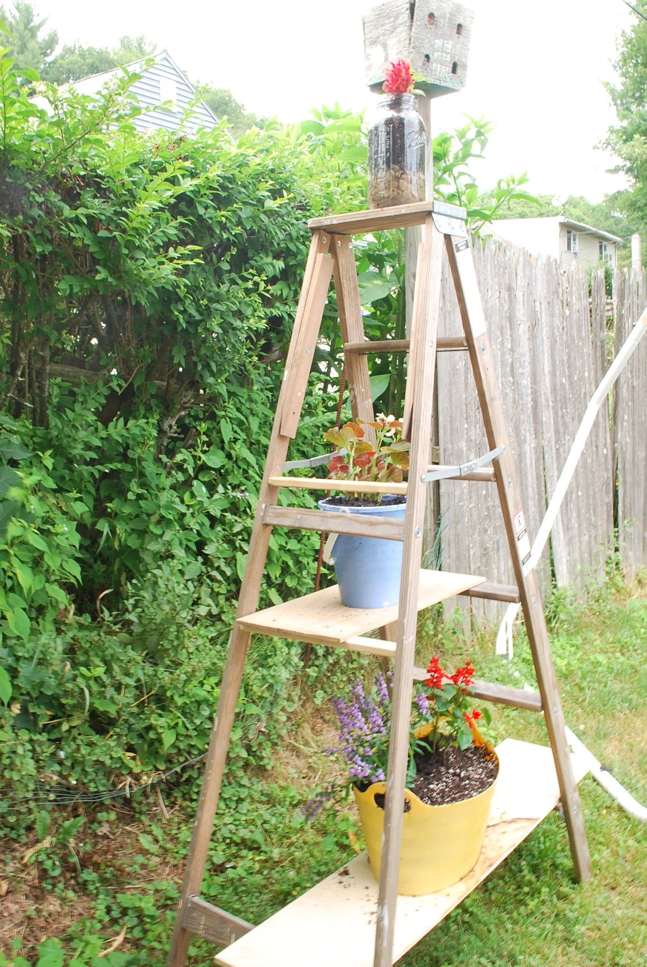 Diy Ladder Plant Stand Whimsy Scribble