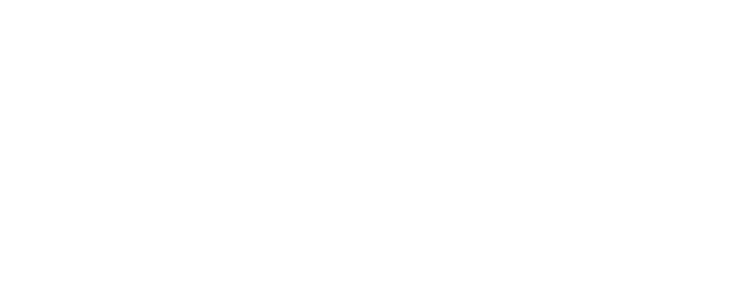 The Ceramic Animal Band