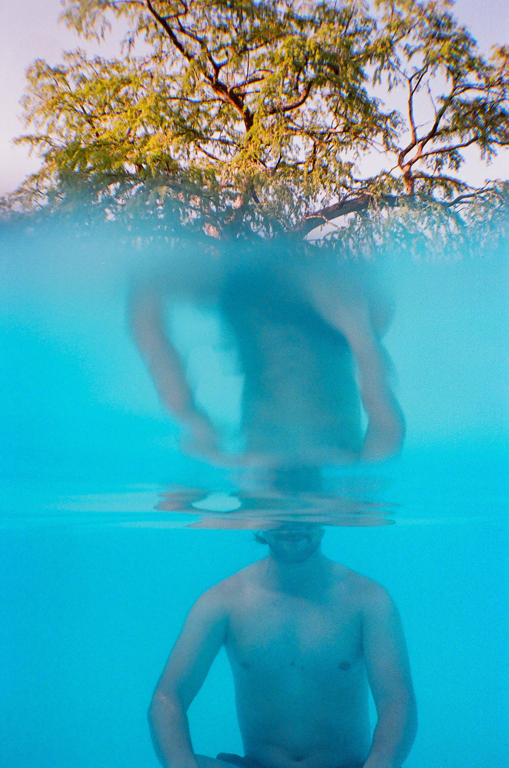 Rosewood Pool