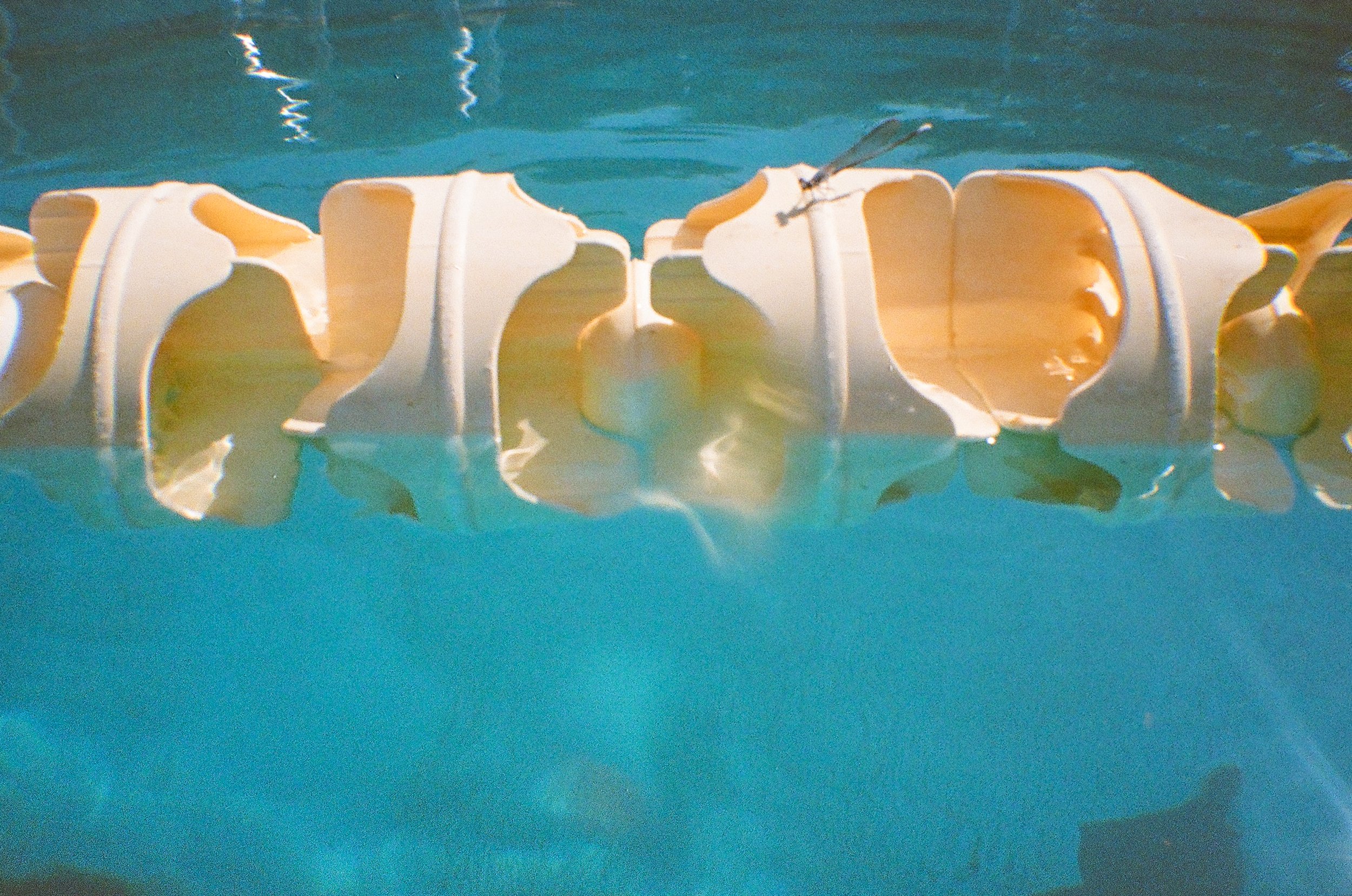 Montopolis Pool