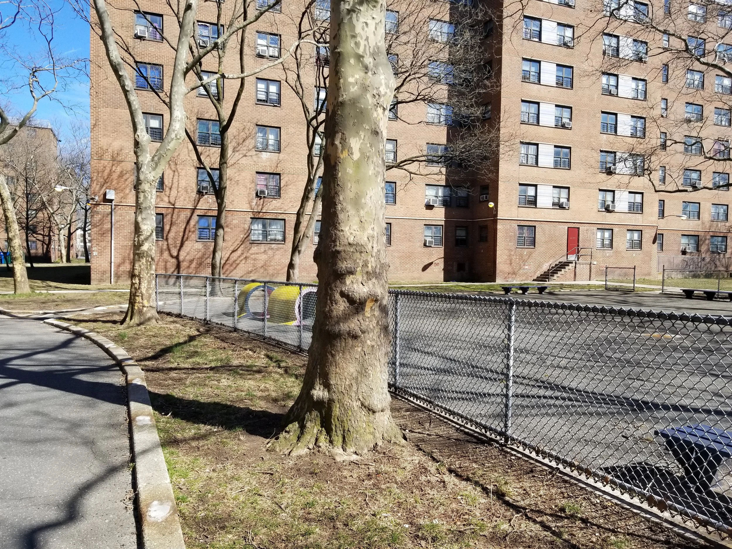 20190323_145242.jpg