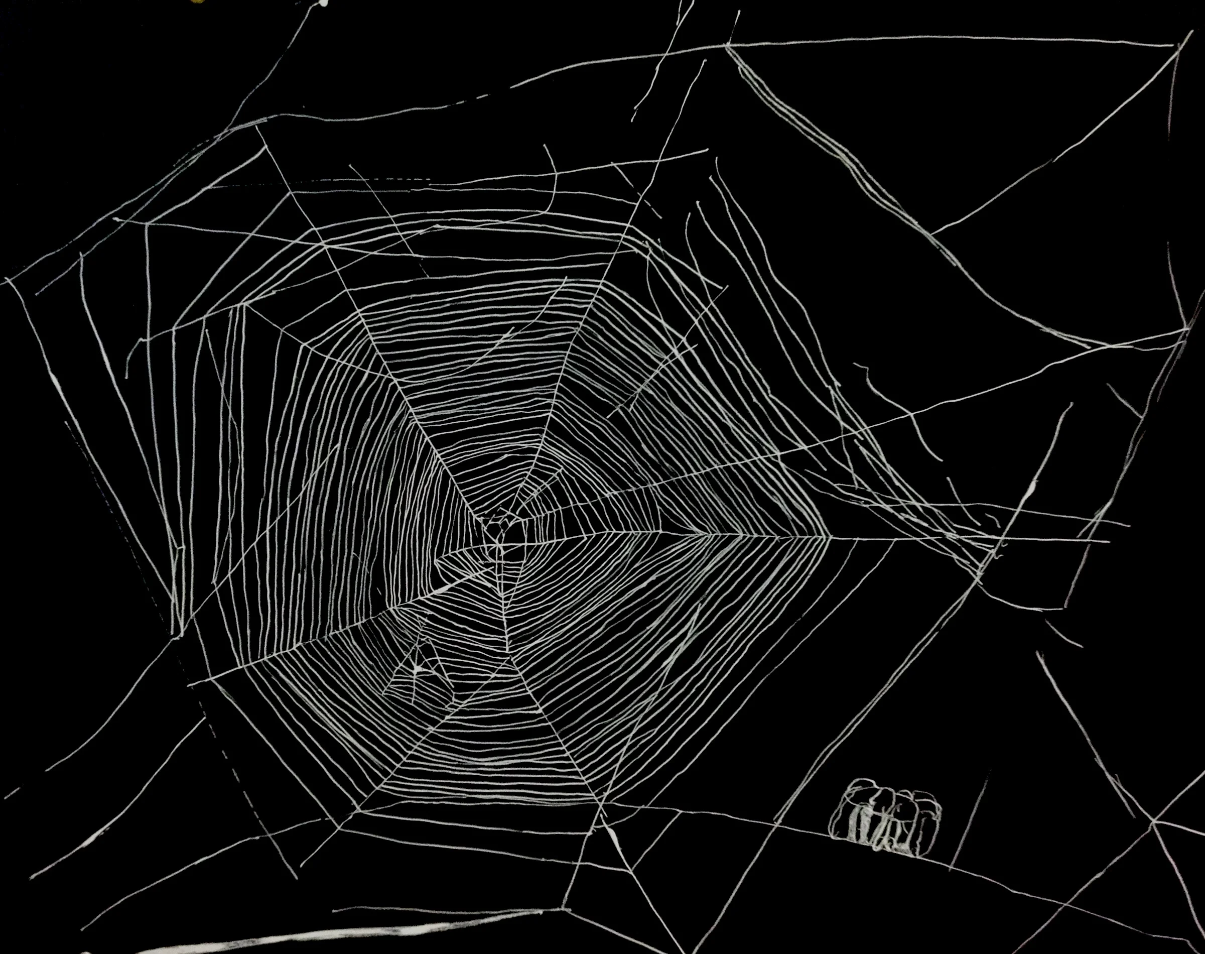 Dissipation into Space