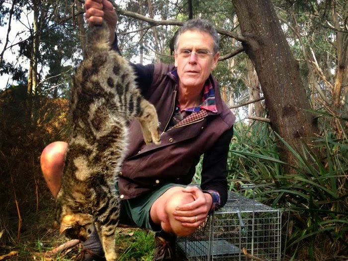 The second wave of extinction since European settlement is currently sweeping Australia's north. It's arrived in the Kimberley - Australia's last ark of pre european bio-diversity, Feral Cats... http://www.abc.net.au/radionational/programs/backgroundbriefing/feral-cats-re-write-the-australian-story/5802204 Scientists now say the main threat to that biodiversity is the feral cat. Shocking story which demonstrates the terrible state of Australia's native wildlife, and overall shows not much is being done about it...