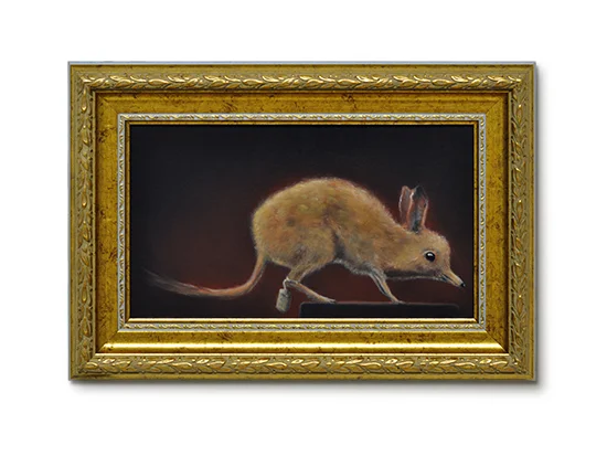 Requiem #3 (Chaeropus ecaudatus)