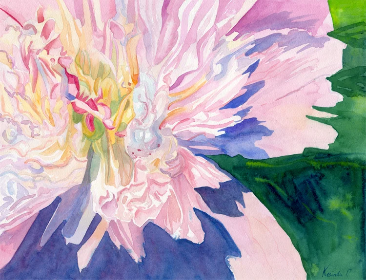 170624peony.jpg