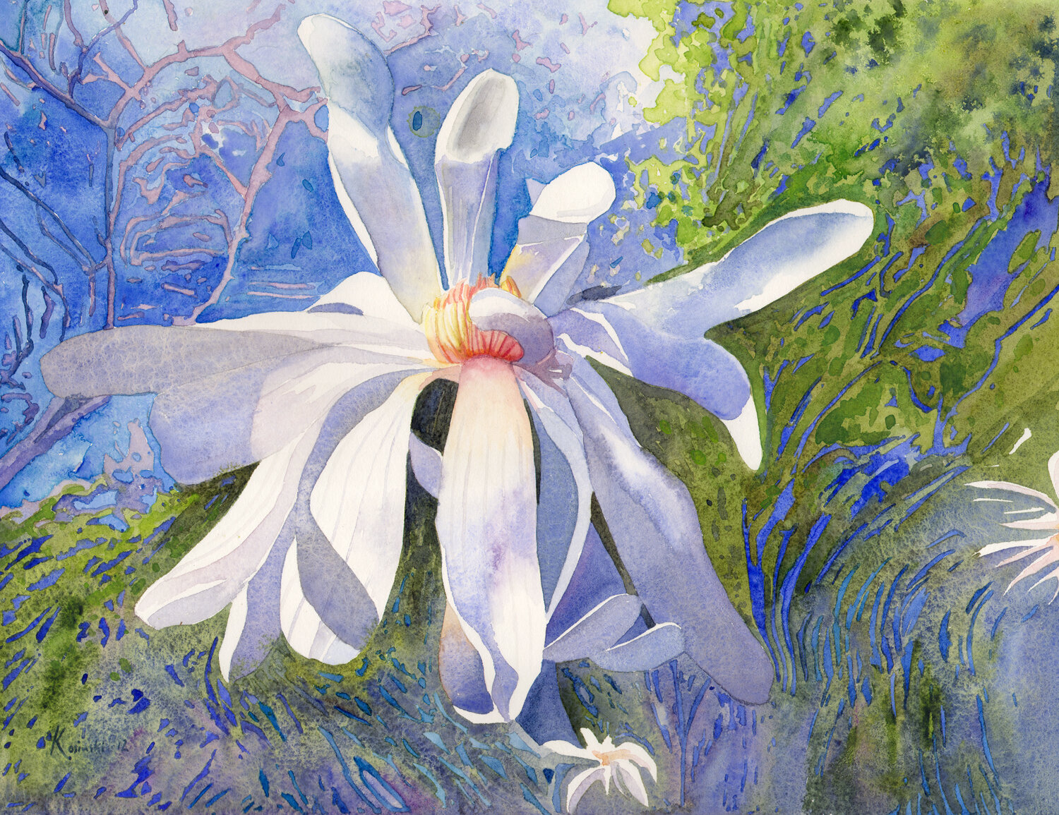 120323starmagnolia.jpg