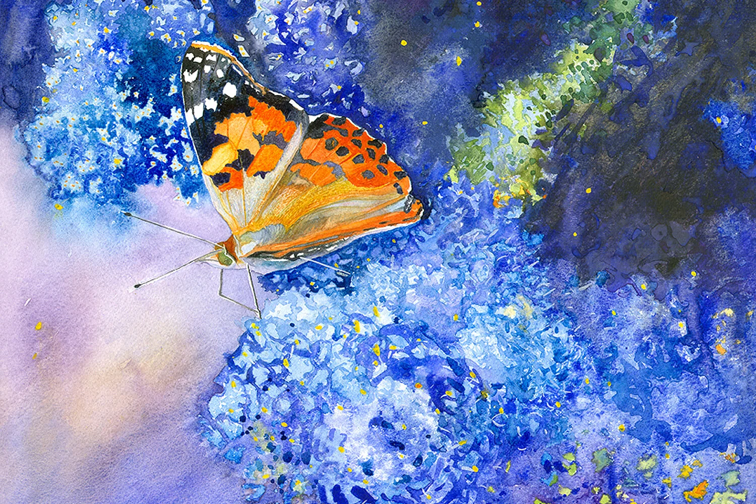 120523-kosinski-painted-lady-butterfly.jpg