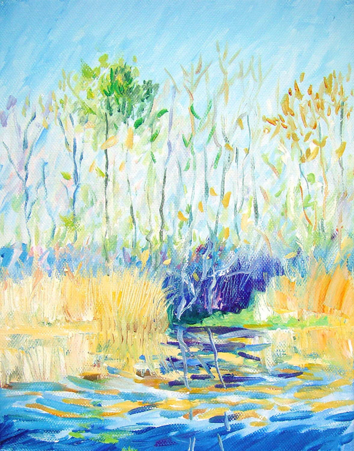111229ricefields.jpg